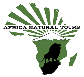 Africa Natural Tours - Best Kilimanjaro luxury trekking agencies for 2023, 2024, and 2025