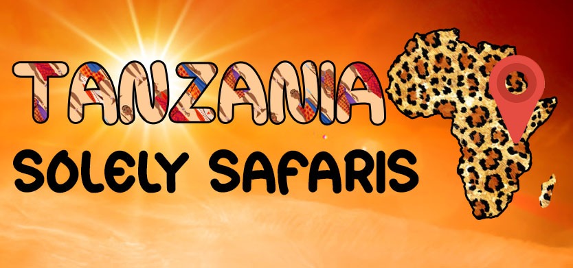 Tanzania Solely Tours