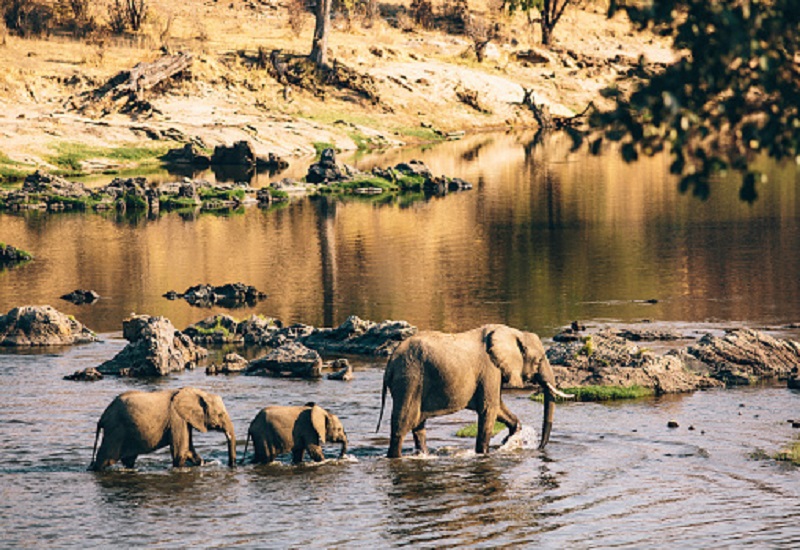 2 days Tanzania sharing safaris to Tarangire and Ngorongoro