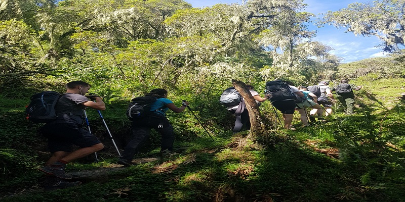 1 day Tanzania trip to Ngorongoro Crater