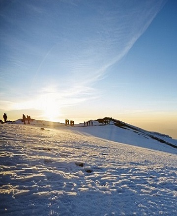 7 Days Kilimanjaro Hiking Machame Route & Group Departures for 2025/2026