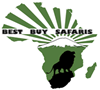 Best Buy Safafis: Africa