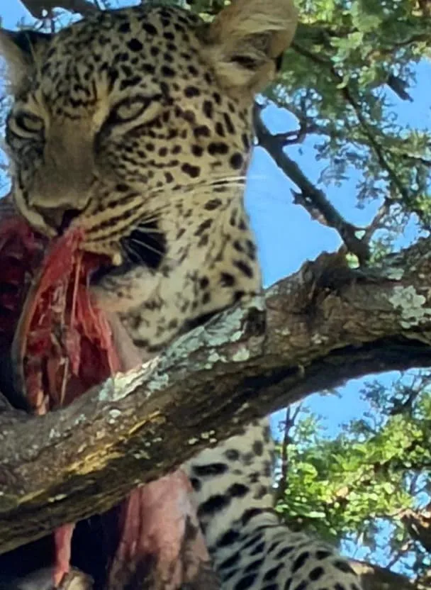 Best Buy Safaris &mdash; The Value Africa Experts