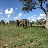 7 days Tanzania safari and Zanzibar beach holiday
